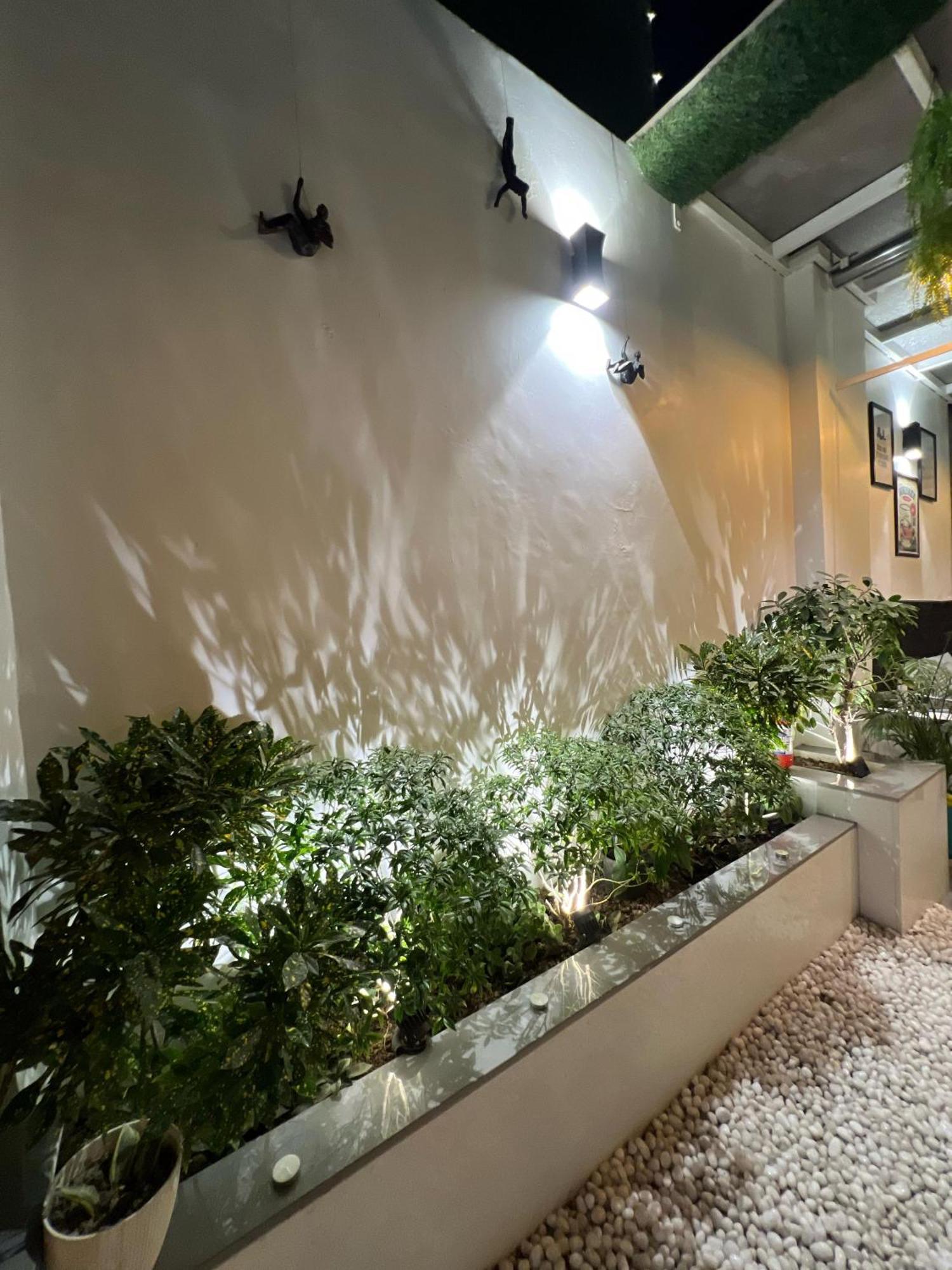 Homestay Luxurious & Private Penthouse New Delhi